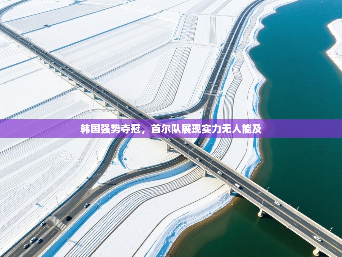 韩国强势夺冠,首尔队展现实力无人能及 第1张