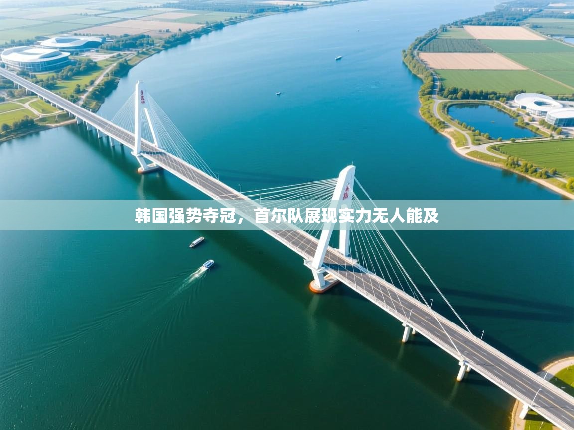 韩国强势夺冠,首尔队展现实力无人能及 第2张